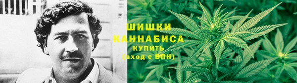 прущая мука Инта