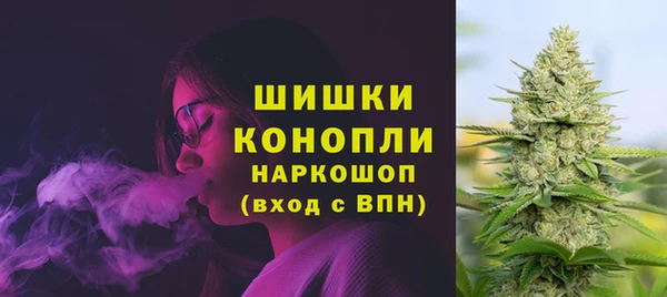 шишки Инсар