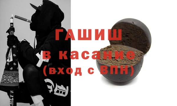 шишки Инсар