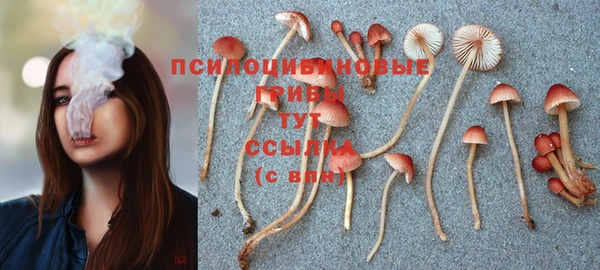 Альфа ПВП Иннополис