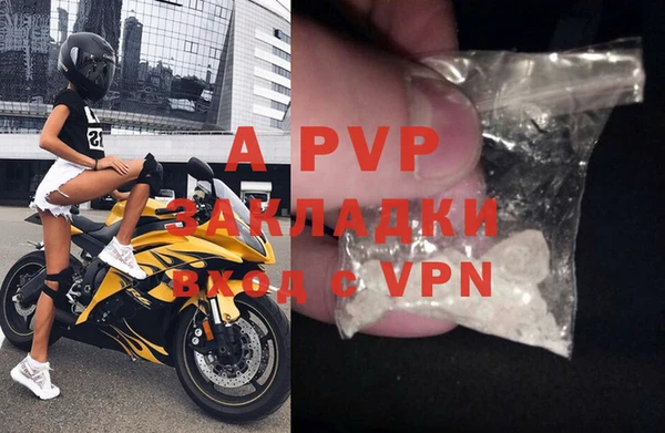 шишки Инсар