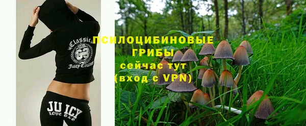 шишки Инсар
