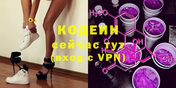 шишки Инсар