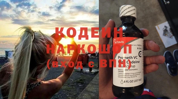 шишки Инсар