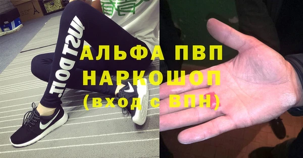 Альфа ПВП Иннополис