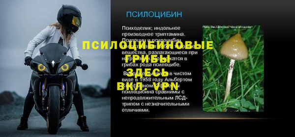 прущая мука Инта