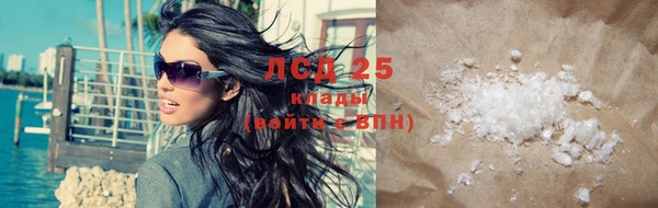 шишки Инсар