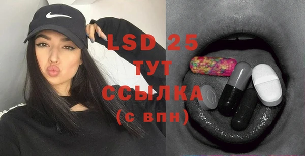 шишки Инсар