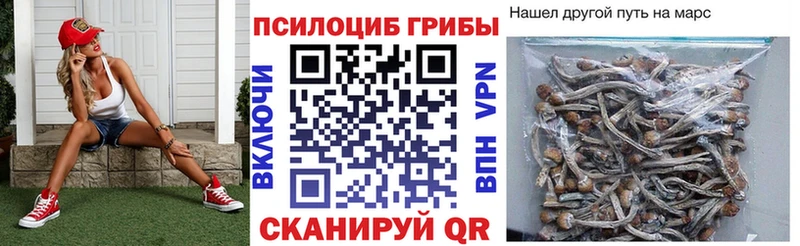 Галлюциногенные грибы Magic Shrooms  Купить где  Дорогобуж 